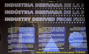 35 SANTA POLA - MUSEE DE LA MER ET DE LA PECHE (93)